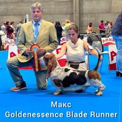 Goldenessence Blade Runner (Max)